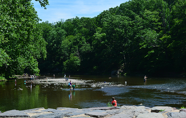 Lazin' at Neshaminy Creek on an Early Summer Day by Paul Michael Bergeron. This photograph was the winner of DRBC's Summer 2018 Photo Contest. 